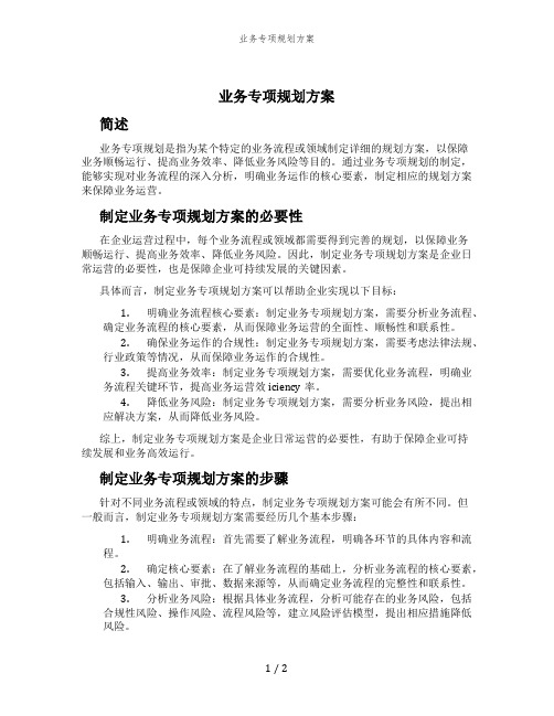 业务专项规划方案