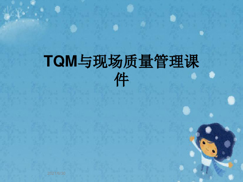 TQM与现场质量管理课件