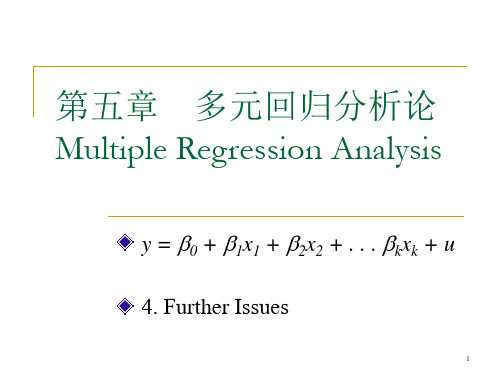 第5章多元回归分析：进一步讨论精品