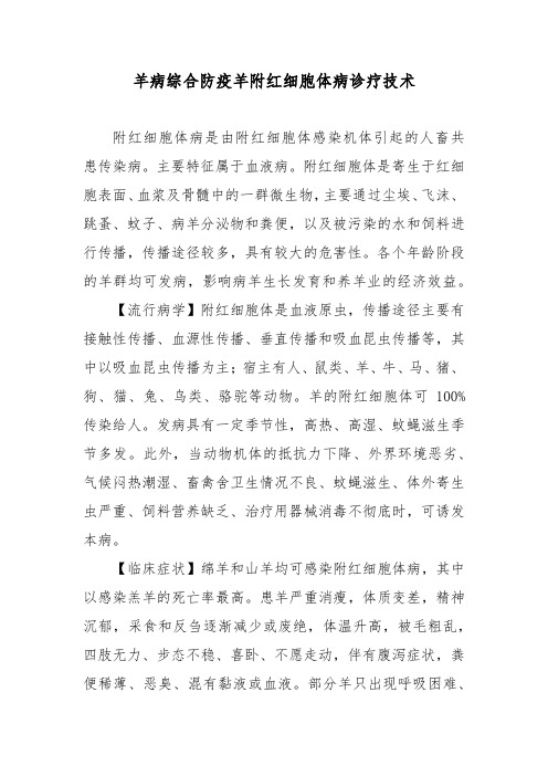 羊病综合防疫羊附红细胞体病诊疗技术