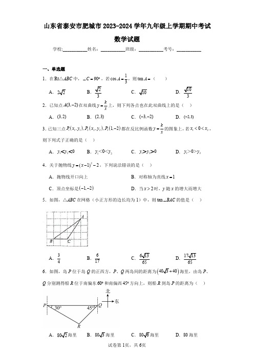 山东省泰安市肥城市2023-2024学年九年级上学期期中考试数学试题