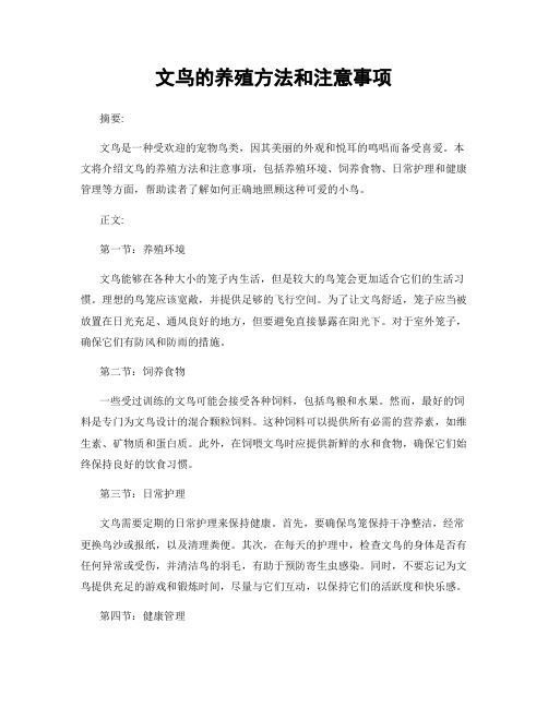 文鸟的养殖方法和注意事项