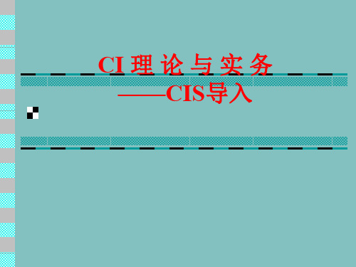 ci理论与实务-cis导入