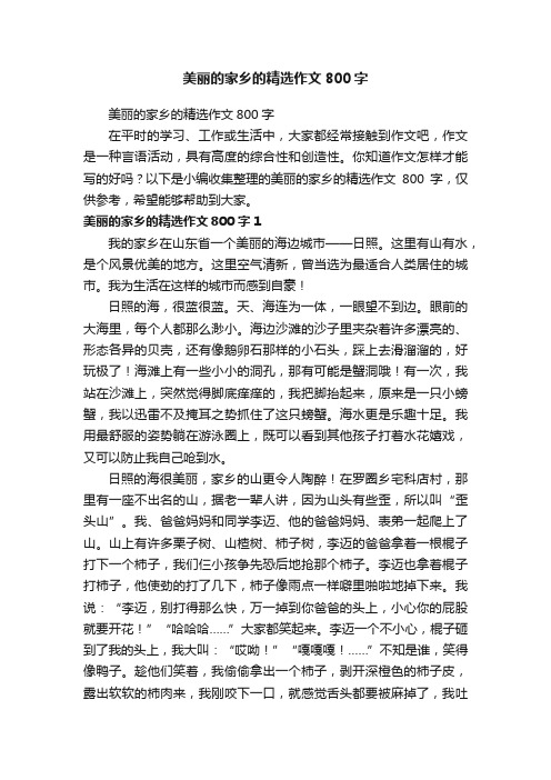 美丽的家乡的精选作文800字