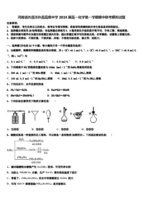 河南省许昌市许昌高级中学2024届高一化学第一学期期中联考模拟试题含解析