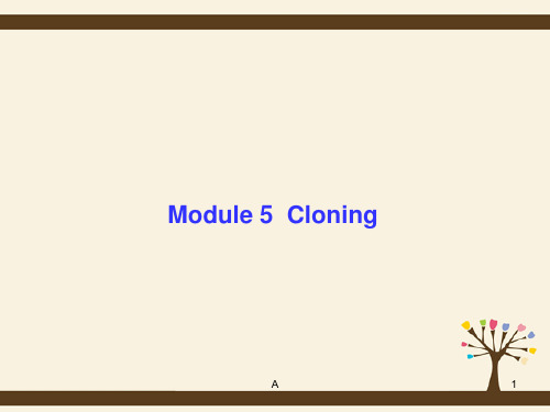 高考英语总复习 Module5 Cloning课件 外研选修6