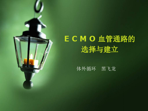 ECMO插管技术课件