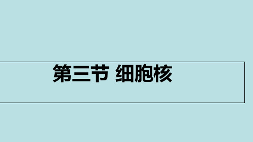 人教生物必修1第3章第3节细胞核——系统的控制中心 (1)高中生物精品公开课