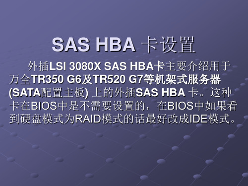 SAS HBA 卡设置