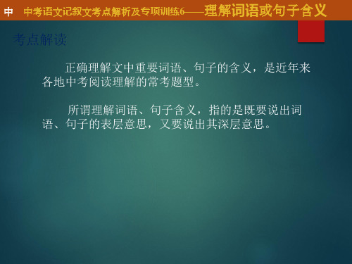 2020中考语文记叙文考点解析及专项训练6——理解词语或句子的含义