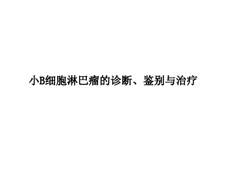 小B细胞淋巴瘤的诊断、鉴别与治疗