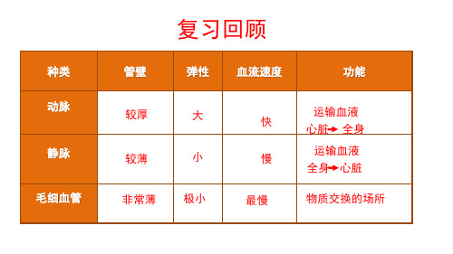 4.4.3心脏的结构和功能课件-2023--2024学年人教版生物七年级下册