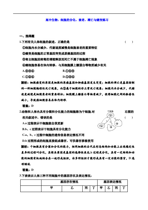 高中生物：细胞的分化、衰老、凋亡与癌变练习