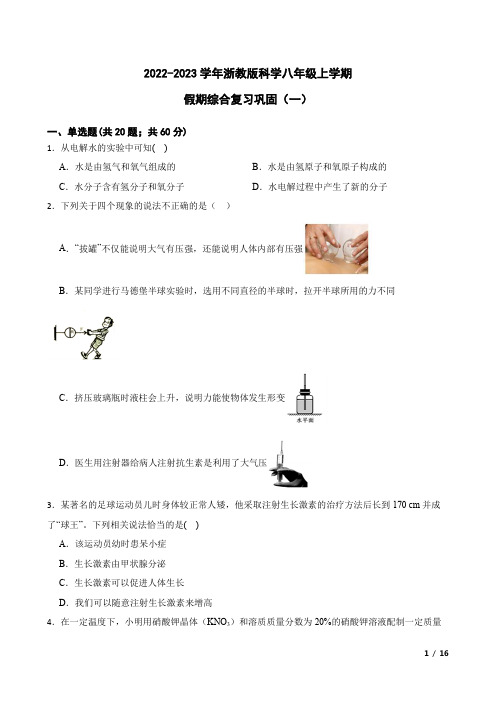 科学八年级上学期假期综合复习巩固(一)