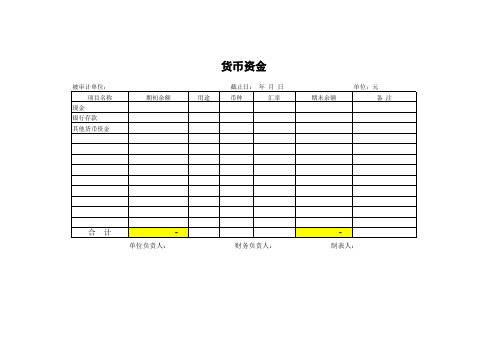 审计各科目余额明细表模板