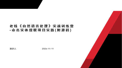 老钱自然语言处理实战训练营 命名实体提取项目实践(附源码)PPT模板