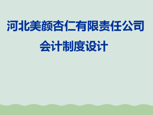 某公司会计制度设计案例PPT(共12页)