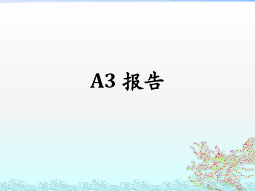 A3报告及范本