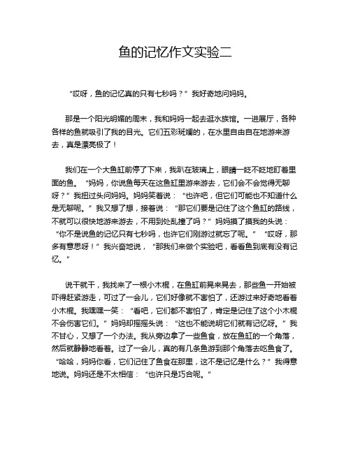 鱼的记忆作文实验二