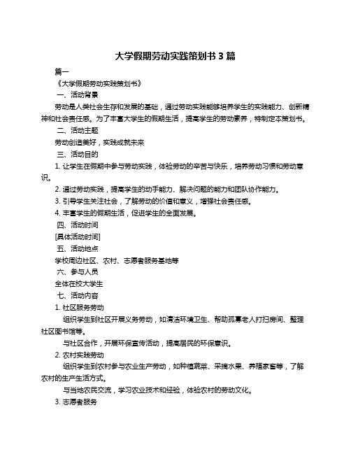 大学假期劳动实践策划书3篇