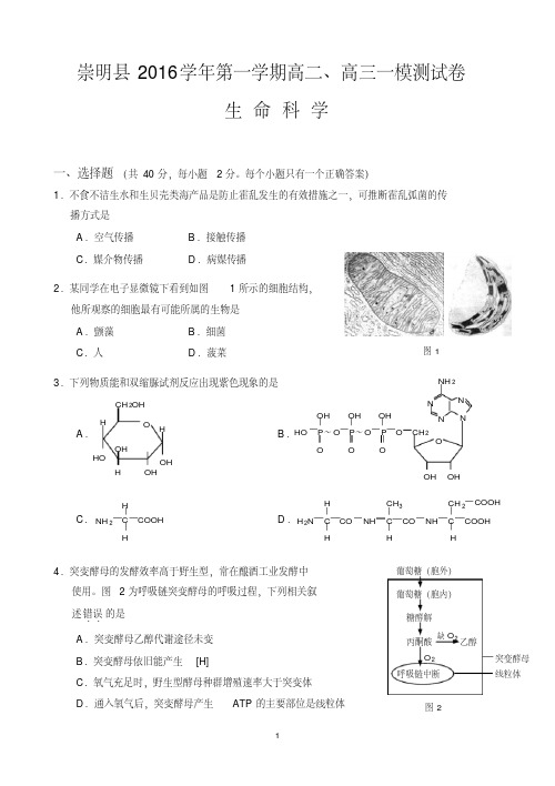 崇明区2017年高三生物一模试卷