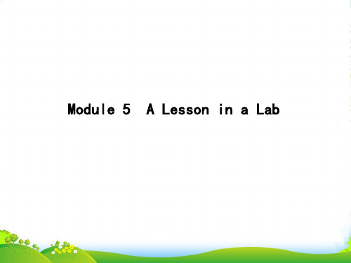 高考英语(外研版)大一轮复习课件+必修一+Module+5 A+Lesson+in+a+Lab