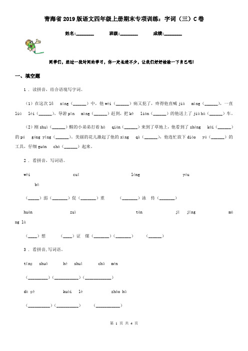 青海省2019版语文四年级上册期末专项训练:字词(三)C卷