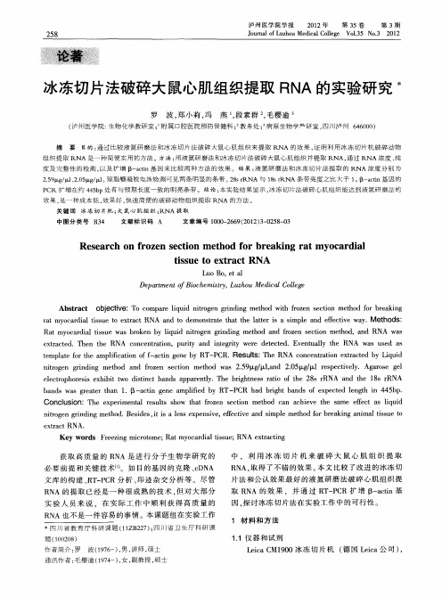 冰冻切片法破碎大鼠心肌组织提取RNA的实验研究