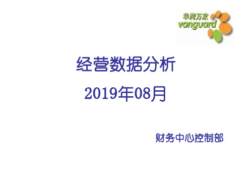 华润万家经营数据分析PPT精品文档47页