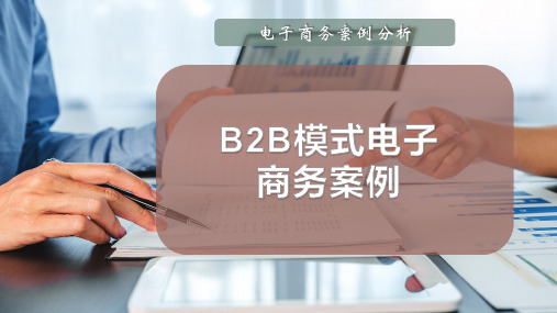 B2B模式电子商务案例