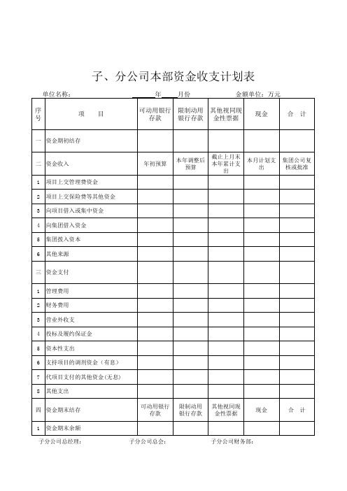 子分公司机关月度资金收支计划表