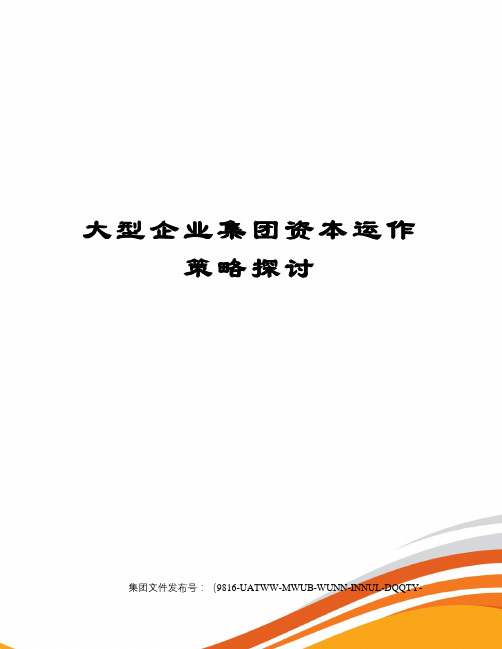 大型企业集团资本运作策略探讨