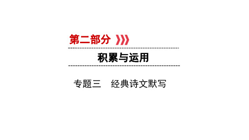 2019陕西中考语文(人教)PPT课件第2部分 专题3