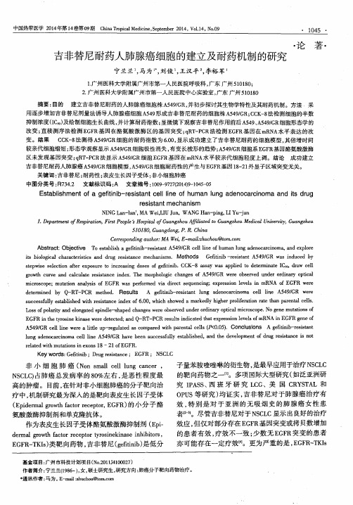 吉非替尼耐药人肺腺癌细胞的建立及耐药机制的研究