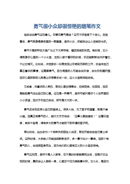 勇气很小众却很惊艳的随笔作文