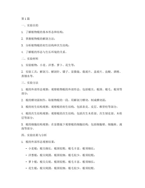 解剖植物根的实验报告(3篇)