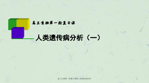 高三生物第一轮复习课程人类遗传病分析课件