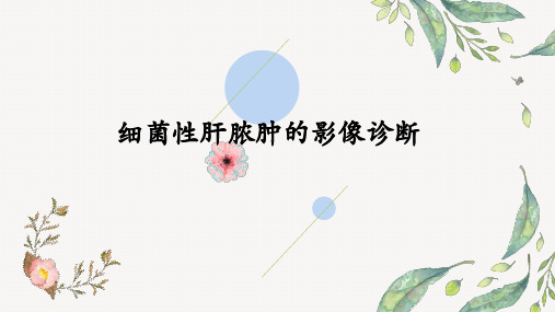 细菌性肝脓肿