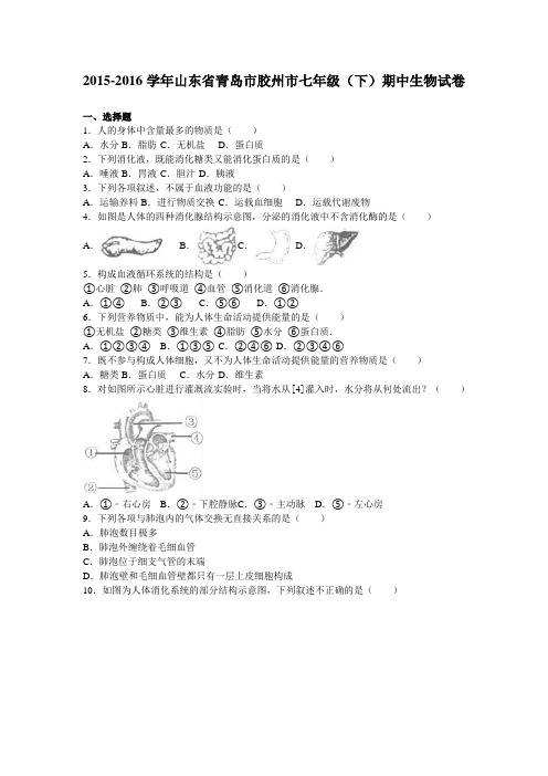 山东省青岛市胶州市2015-2016学年七年级(下)期中生物试卷(解析版)