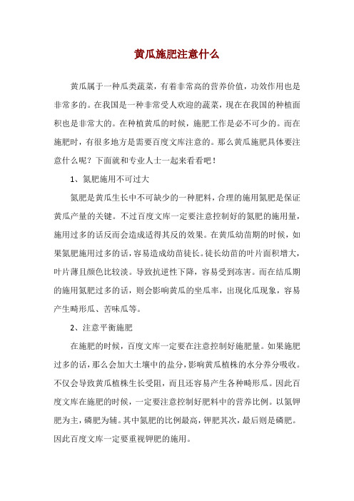 黄瓜施肥注意什么