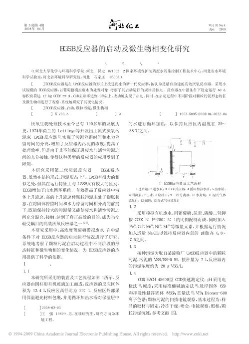 EGSB反应器的启动及微生物相变化研究