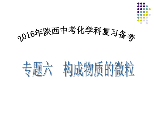 复习专题六   构成物质的微粒