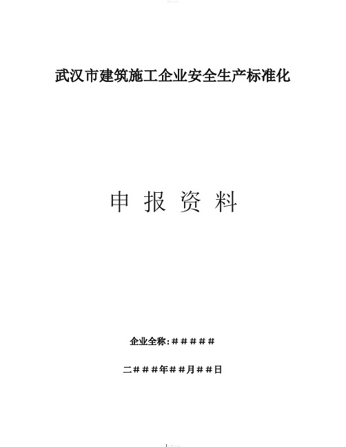 武汉市建筑施工企业安全生产标准化评价资料-全套