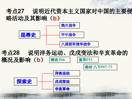 考点29：说明洋务运动、戊戌变法和辛亥革命的概况及影响