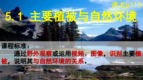 高中地理示范课主要植被与自然环境课件高一上学期地理湘教版(2019)必修第一册