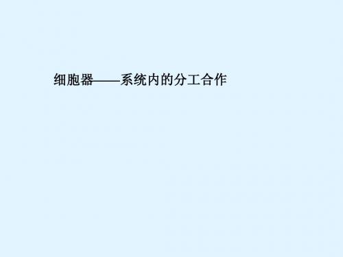 最新2015届高考生物一轮详细复习 细胞器 系统内的分工合作 课件 新人教版