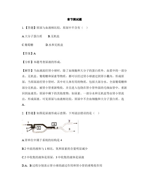 初中生物河北少儿版七年级下册第三章 健肺强肾 精力充沛第二节 排泄-章节测试习题(7)