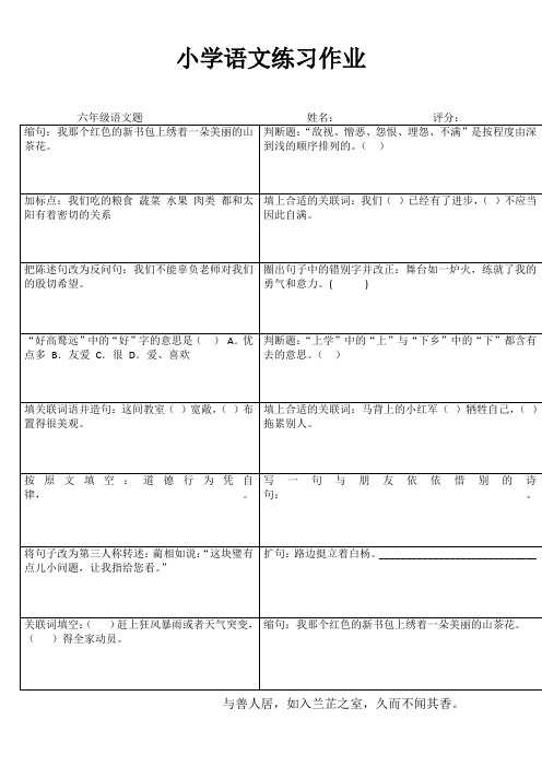 小学六年级语文拓展训练IV (12)