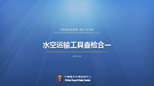 中国国际贸易单一窗口标准版.pdf