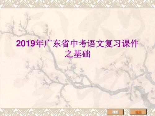 2019年广东中考语文总复习之基础-精品文档